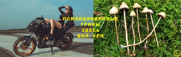 наркотики Верея