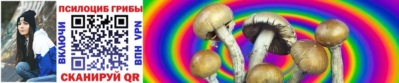 Галлюциногенные грибы GOLDEN TEACHER  Мончегорск 