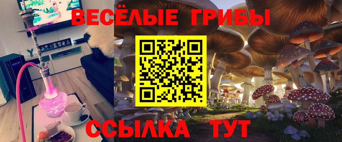 купить закладку  Галлюциногенные грибы Magic Shrooms  Псилоцибиновые грибы прущие грибы  Вход с VPN  Мончегорск 